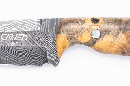 Carved Damascus Field Knife #20632 Online Hot Sale